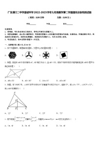 广东湛江二中学港城中学2022-2023学年七年级数学第二学期期末达标检测试题含答案