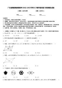 广东省揭阳揭西县联考2022-2023学年七下数学期末复习检测模拟试题含答案