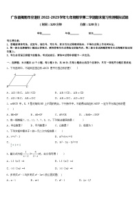 广东省揭阳市空港区2022-2023学年七年级数学第二学期期末复习检测模拟试题含答案