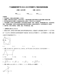 广东省揭阳市普宁市2022-2023学年数学七下期末质量检测试题含答案