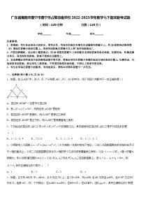 广东省揭阳市普宁市普宁市占陇华南学校2022-2023学年数学七下期末联考试题含答案