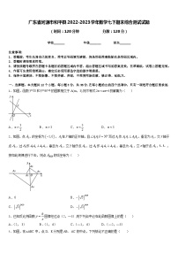 广东省河源市和平县2022-2023学年数学七下期末综合测试试题含答案