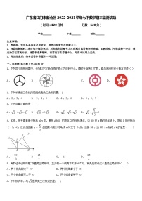 广东省江门市新会区2022-2023学年七下数学期末监测试题含答案