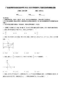 广东省深圳市宝安区宝安中学2022-2023学年数学七下期末达标检测模拟试题含答案