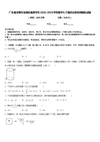 广东省深圳市龙岗区南湾学校2022-2023学年数学七下期末达标检测模拟试题含答案