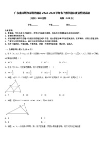 广东省深圳市深圳外国语2022-2023学年七下数学期末质量检测试题含答案