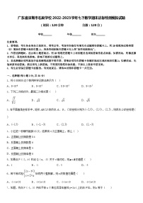 广东省深圳市石厦学校2022-2023学年七下数学期末达标检测模拟试题含答案