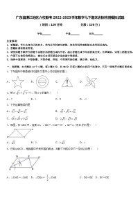 广东省湛江地区六校联考2022-2023学年数学七下期末达标检测模拟试题含答案