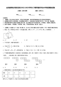 山东省青岛开发区实验2022-2023学年七下数学期末学业水平测试模拟试题含答案