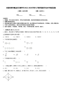 安徽合肥市蜀山区文博中学2022-2023学年七下数学期末学业水平测试试题含答案