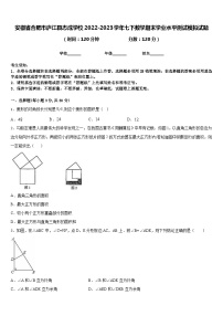 安徽省合肥市庐江县志成学校2022-2023学年七下数学期末学业水平测试模拟试题含答案