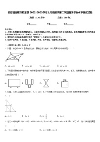 安徽省合肥市肥东县2022-2023学年七年级数学第二学期期末学业水平测试试题含答案