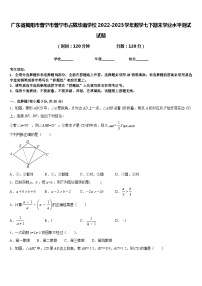 广东省揭阳市普宁市普宁市占陇华南学校2022-2023学年数学七下期末学业水平测试试题含答案