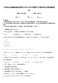 广东省汕头市潮南区阳光实验学校2022-2023学年数学七下期末学业水平测试模拟试题含答案