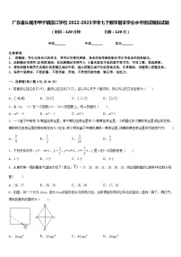 广东省汕尾市甲子镇瀛江学校2022-2023学年七下数学期末学业水平测试模拟试题含答案