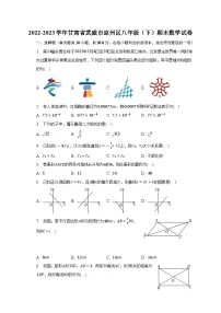 甘肃省武威市凉州区2022-2023学年下学期八年级期末数学试卷（含答案）