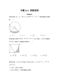 专题24.1 阴影面积（强化）-【题型分层练】2022-2023学年九年级数学上册单元题型精练（基础题型+强化题型）（人教版）