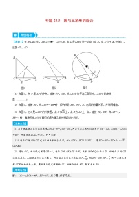 专题24.3 圆与三角形的综合（压轴题专项讲练）-2022-2023学年九年级数学上册从重点到压轴（人教版）（解析+原卷）