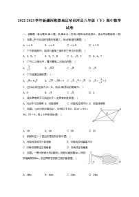 2022-2023学年新疆阿勒泰地区哈巴河县八年级（下）期中数学试卷（含解析）