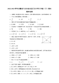 2022-2023学年安徽省六安市金安区汇文中学八年级（下）期末数学试卷（含解析）