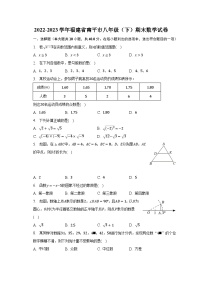 2022-2023学年福建省南平市八年级（下）期末数学试卷（含解析）