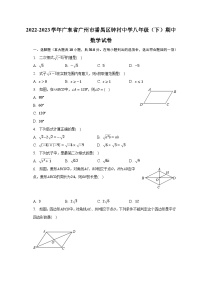 2022-2023学年广东省广州市番禺区钟村中学八年级（下）期中数学试卷（含解析）