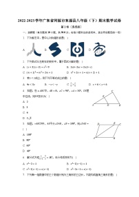 2022-2023学年广东省河源市东源县八年级（下）期末数学试卷（含解析）