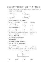 2022-2023学年广东省湛江七中七年级（下）期中数学试卷（含解析）