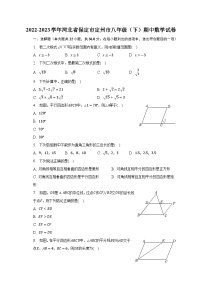 2022-2023学年河北省保定市定州市八年级（下）期中数学试卷（含解析）