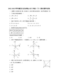 2022-2023学年黑龙江省双鸭山市八年级（下）期末数学试卷（含解析）