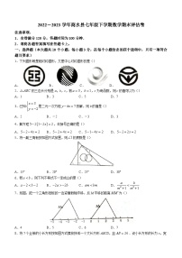 河南省周口市商水县2022-2023学年七年级下学期期末数学试题