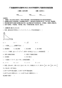 广东省高州市九校联考2022-2023学年数学七下期末综合测试试题含答案