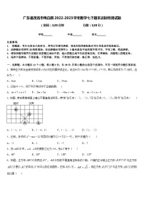 广东省茂名市电白县2022-2023学年数学七下期末达标检测试题含答案