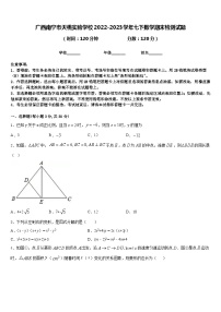 广西南宁市天桃实验学校2022-2023学年七下数学期末检测试题含答案