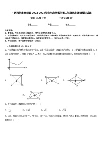 广西百色市德保县2022-2023学年七年级数学第二学期期末调研模拟试题含答案