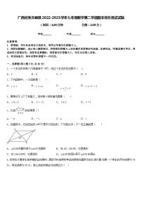 广西河池天峨县2022-2023学年七年级数学第二学期期末综合测试试题含答案