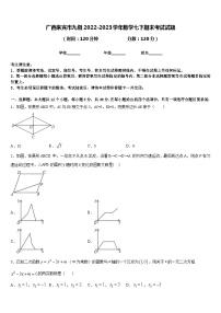 广西来宾市九级2022-2023学年数学七下期末考试试题含答案