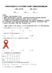 广西来宾市忻城县2022-2023学年数学七年级第二学期期末达标检测模拟试题含答案