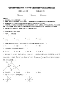 广西钦州市钦南区2022-2023学年七下数学期末学业质量监测模拟试题含答案