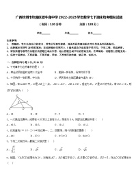 广西钦州市钦南区犀牛角中学2022-2023学年数学七下期末统考模拟试题含答案