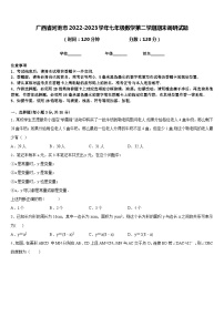 广西省河池市2022-2023学年七年级数学第二学期期末调研试题含答案