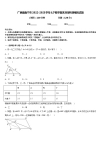 广西省南宁市2022-2023学年七下数学期末质量检测模拟试题含答案