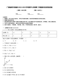 广西梧州市苍梧县2022-2023学年数学七年级第二学期期末质量检测试题含答案