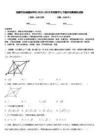 成都市东辰国际学校2022-2023学年数学七下期末经典模拟试题含答案