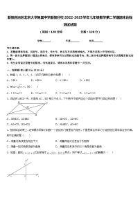 新疆自治区北京大学附属中学新疆分校2022-2023学年七年级数学第二学期期末达标测试试题含答案