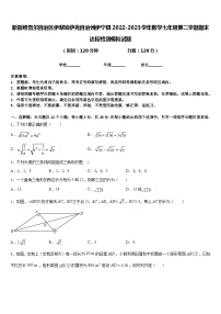 新疆维吾尔自治区伊犁哈萨克自治州伊宁县2022-2023学年数学七年级第二学期期末达标检测模拟试题含答案