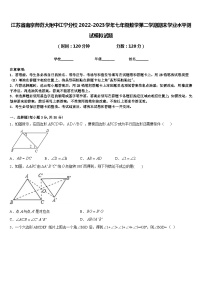 江苏省南京师范大附中江宁分校2022-2023学年七年级数学第二学期期末学业水平测试模拟试题含答案