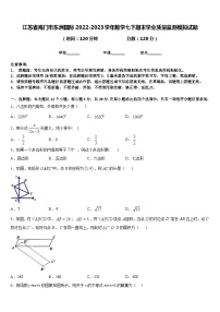 江苏省海门市东洲国际2022-2023学年数学七下期末学业质量监测模拟试题含答案