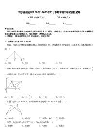 江苏省金陵中学2022-2023学年七下数学期末考试模拟试题含答案