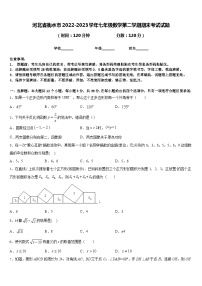 河北省衡水市2022-2023学年七年级数学第二学期期末考试试题含答案